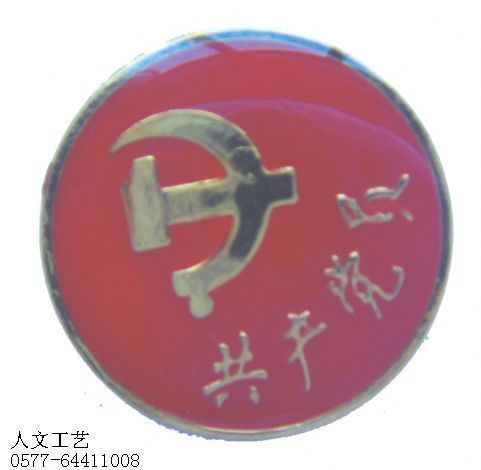 湖南党徽徽章