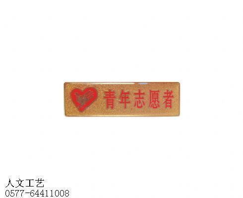 重庆青年志愿者胸章