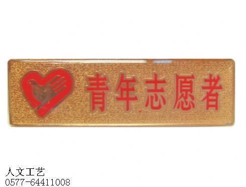 台湾青年志愿者胸章